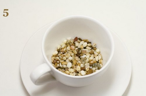 火龙果DIY盆景教程