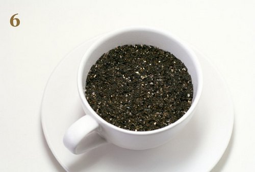 火龙果DIY盆景教程