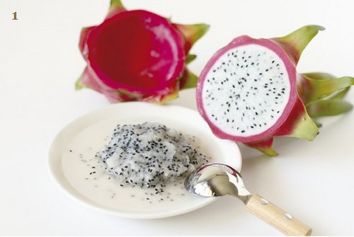 火龙果DIY盆景教程