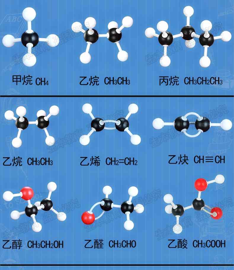 大套有机分子结构拼装模型