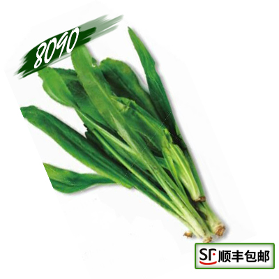 新鲜泰国香菜 芫茜 香菜 刺欧芹 泰国大香菜 冬阴功必备250g