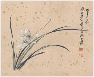 水墨画 荷花张大千-兰花 国画 装饰画 名画 包邮古画