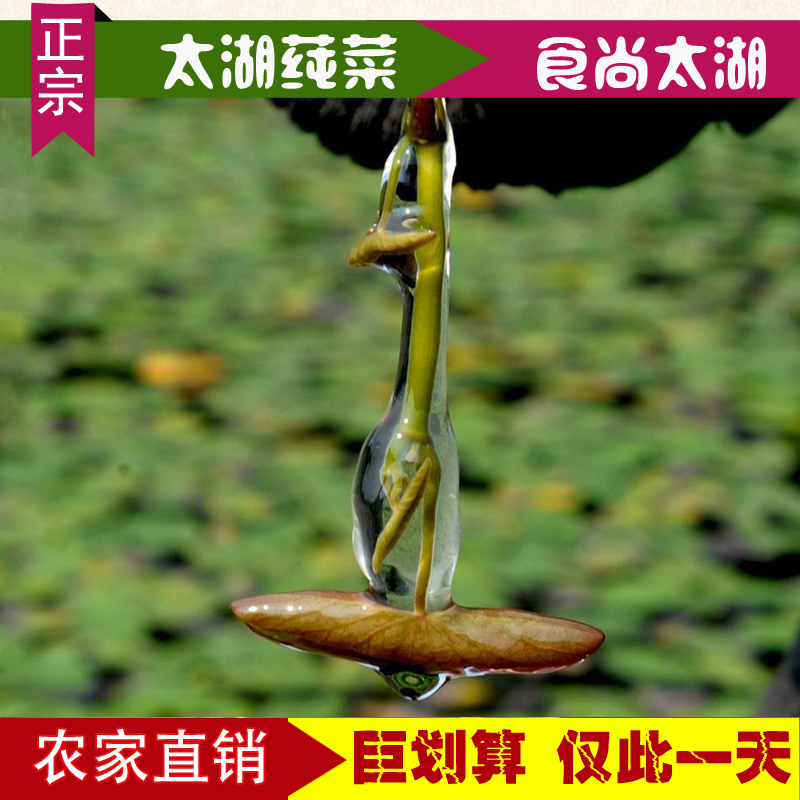 2017苏州太湖莼菜纯菜水八仙东山特产袋装超西湖莼菜新鲜富硒320g