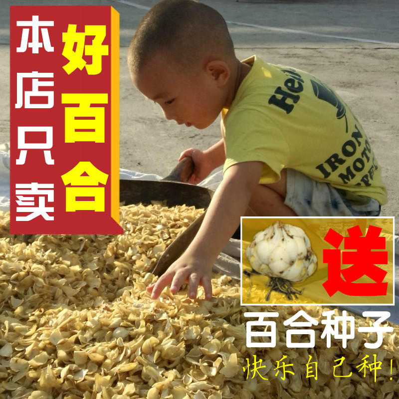正宗龙山特级无硫百合干纯天然农家手工自产药食两用新鲜干货500g