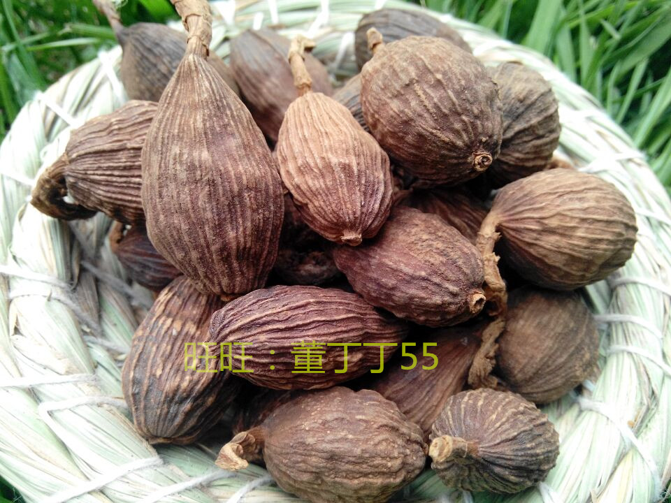 草果香料调料煮肉料火锅麻辣烫料底100g 草果