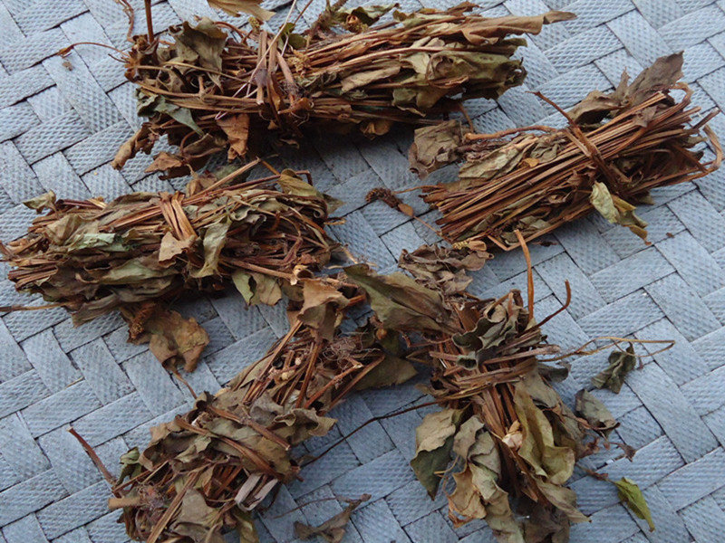 九龙原始森林凉茶 干鱼腥草 野生鱼腥草茶 折耳根 自然晒干无防腐