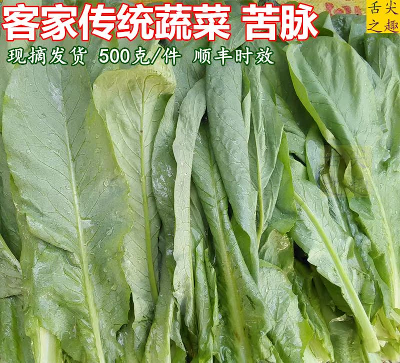 客家传统蔬菜 苦脉菜 阳春四季花芽甜麦脉唛菜新鲜时蔬农家私房菜