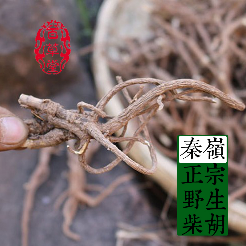 秦岭野生中药材柴胡 无硫北柴胡 干货柴胡疏肝解郁柴胡片50克包邮