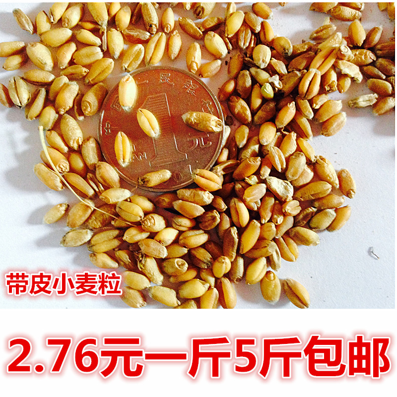 正品[小麦胚芽精油]小麦胚芽精油的功效评测 小