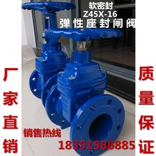 100DN250 DN300 DN40 Z45X暗杆弹性座封软密封法兰闸阀