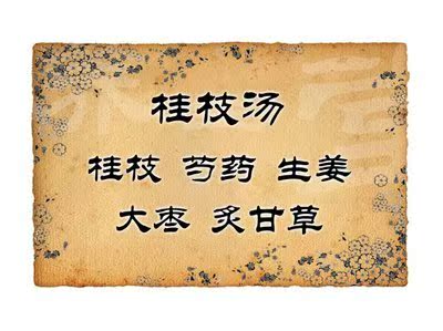 桂枝汤 中药材 桂枝 白芍 甘草 干姜 大枣 十副量