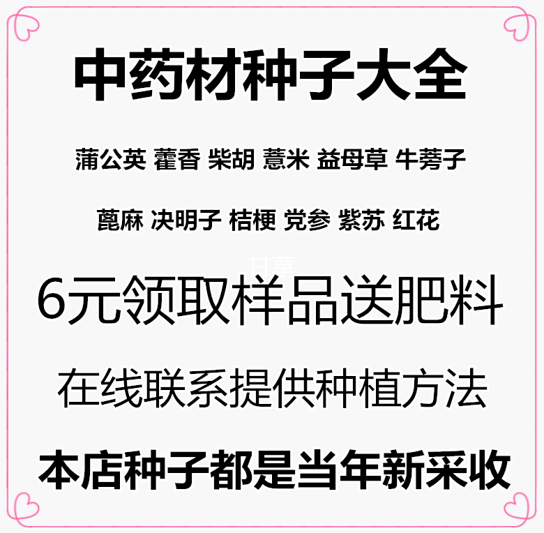 全国包邮 中药材种子专业批发 牛蒡子种子 蒲公英种子 紫苏种子