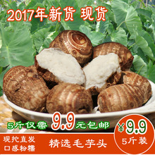 笨芋头山东新鲜农家毛芋头粉糯小芋头芋艿子芋头香芋2500g 芋头