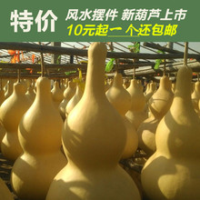 50厘米 辟邪镇宅大葫芦摆件 免邮 风水葫芦挂件10 天然特大葫芦
