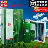 官方旗舰店高碱性嫩苗大麦若叶青汁粉 蚂蚁农场大麦若叶青汁正品