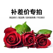 其他区域运费专用链接 定时费链接 爱花苑鲜花昆明二环内免费送货