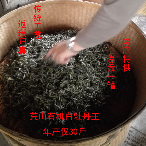 2016荒山野生政和白茶 特级福鼎白牡丹王茶叶 传统工艺绿雪芽35g