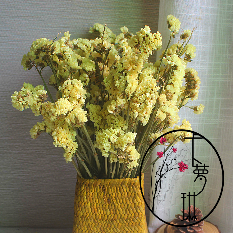 【八角绣球花】天然干花装饰花绣球花客厅花艺摆放插花手工干花