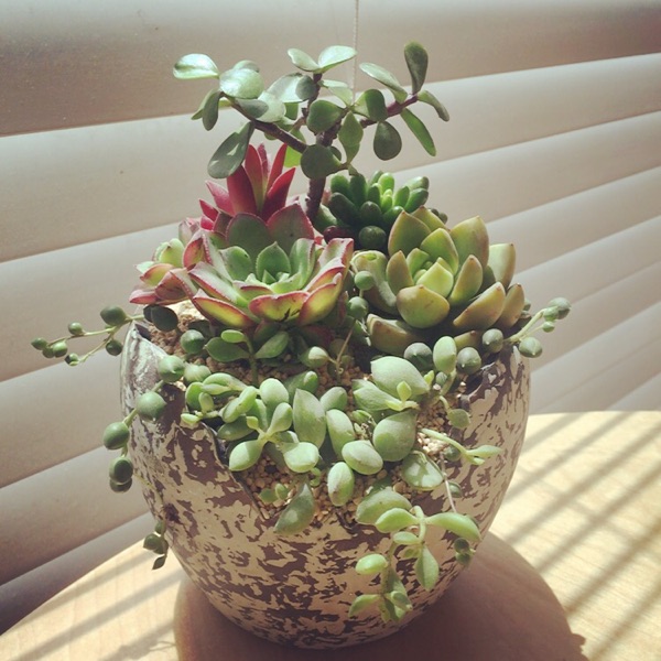 正品[明明就mp3]明明就mp3下载评测 明明爱你