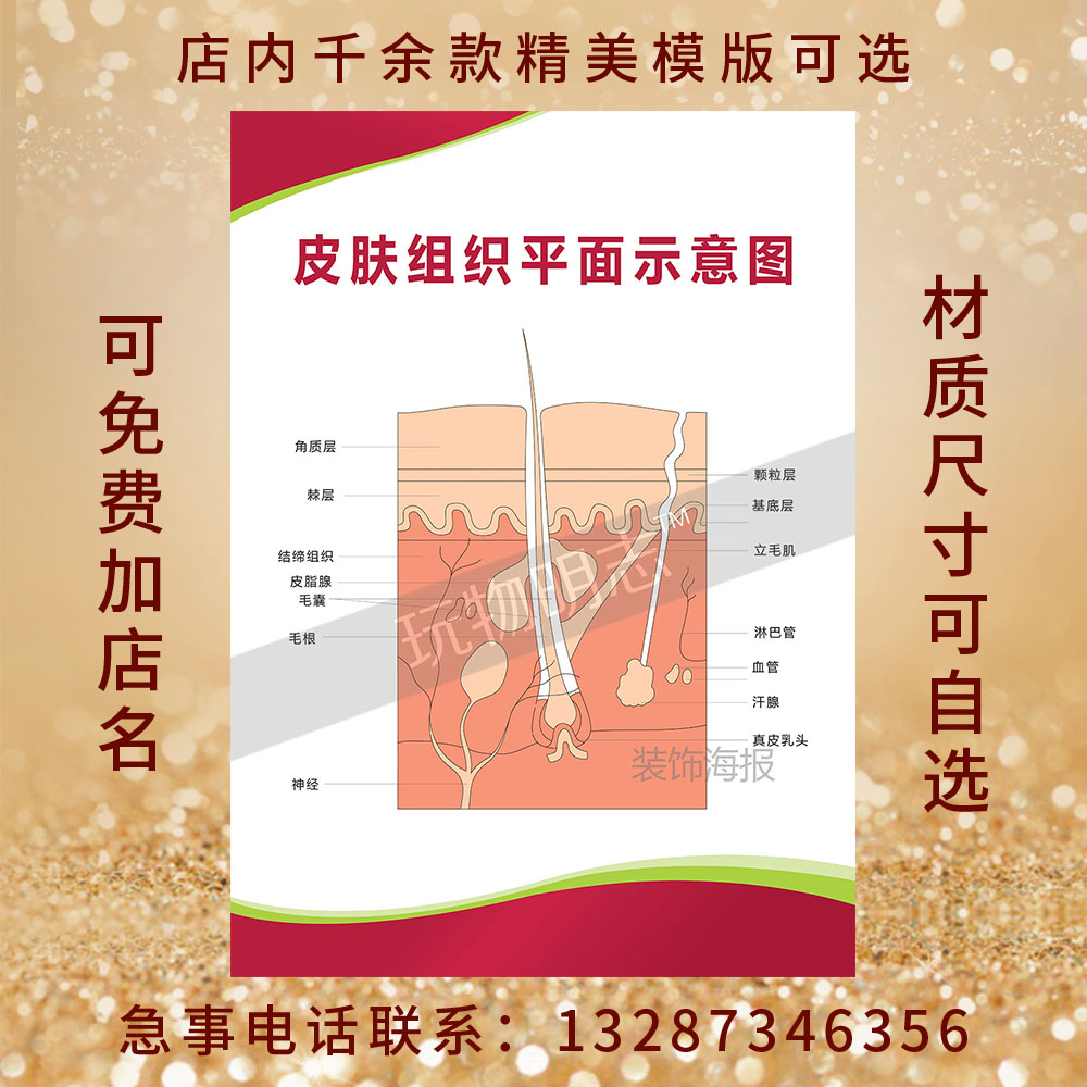 美容院微整形皮肤组织平面示意图海报挂图展板活动宣传画1402