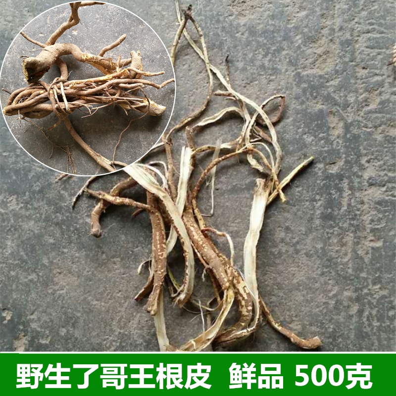 新鲜岗松500g岗松根 铁扫把 羊脷木 蛇虫草 鸡儿松 香