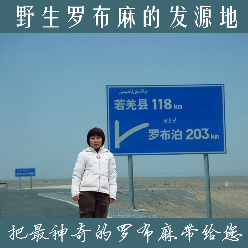【买二送一】新疆罗布泊野生罗布麻茶 嫩叶采摘 滋补养生罗布麻茶