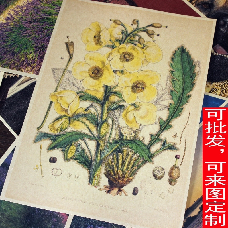 手绘花卉植物海报 复古牛皮纸 酒吧咖啡厅餐厅卧室客厅装饰画挂画