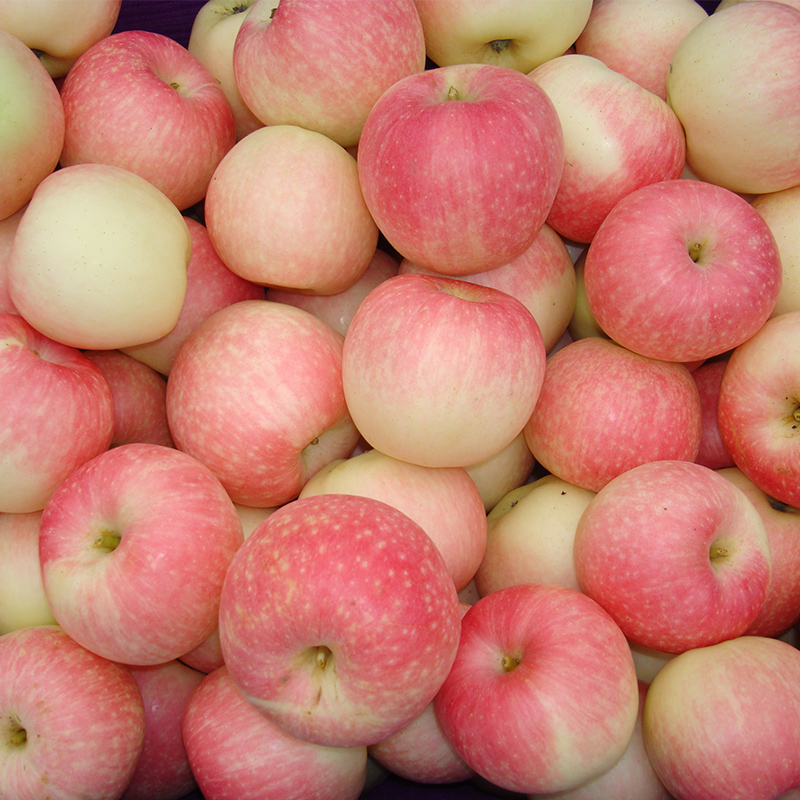 苹果水果陕西高原脆苹果香甜多汁洛川红富士农家果园直发新鲜苹果