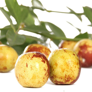 ز˿ʲժ֭5װ2500g