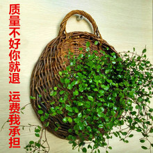 挂篮壁挂花盆藤编墙挂吊篮编织花盆花篮壁挂藤编插花仿真绿萝盆