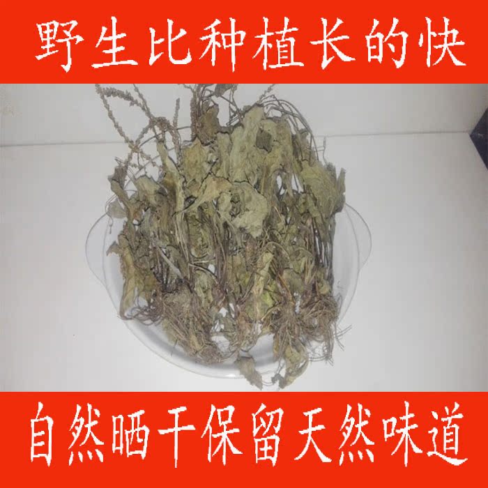 天然野生车前草2016农新鲜干货优质车轮菜