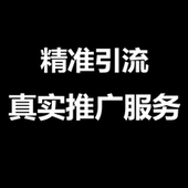 网络推广网络营销网站广告宣传产品真实精准引流投放包月服务