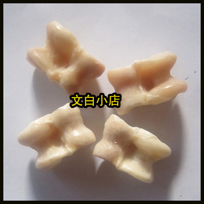 一套免邮 真羊嘎拉哈 羊拐骨 髀石髀骨 旮旯哈 羊骨头子怀旧玩具