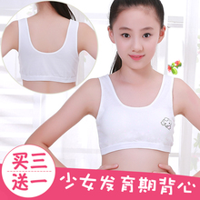 发育期中学生无钢圈胸衣小背心式女孩内衣夏季薄款 纯棉少女文胸