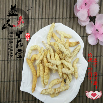 中药材草石蚕 泽兰根 地蚕 土冬虫草 白冬虫草 白虫草正品保证