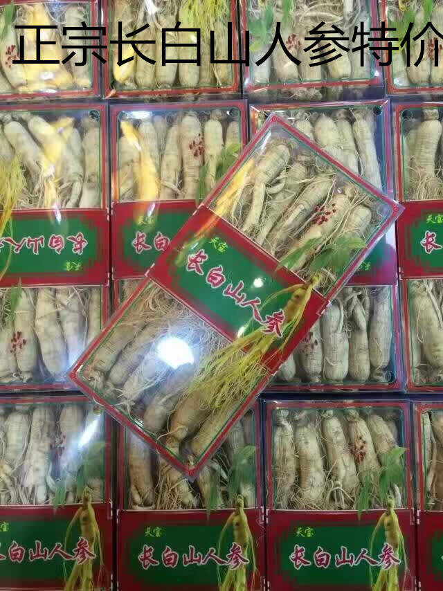 长白山人参生晒参泡酒东北特产小白参 园参吉林白参500g