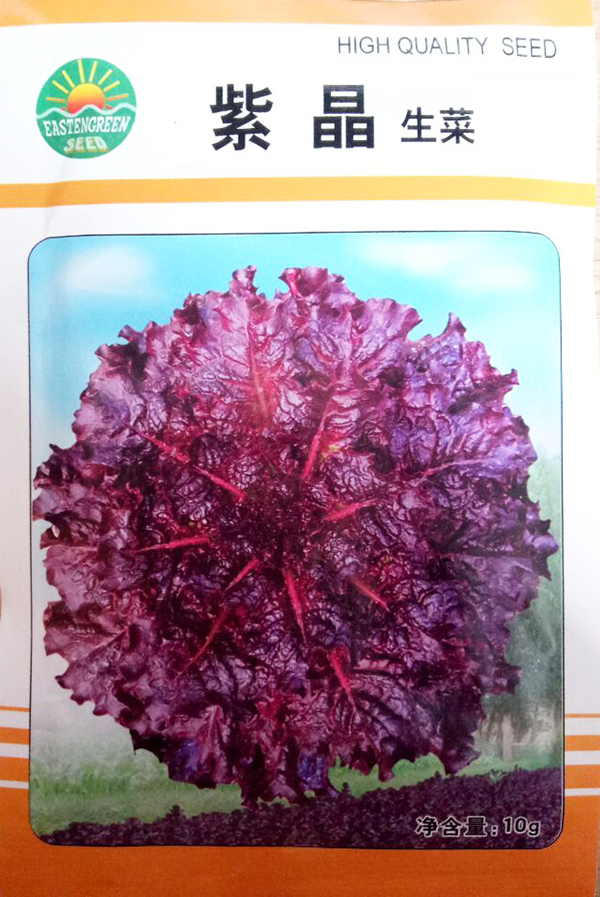 蔬菜种子 紫晶生菜种子 色泽光亮 紫红色 10克/包