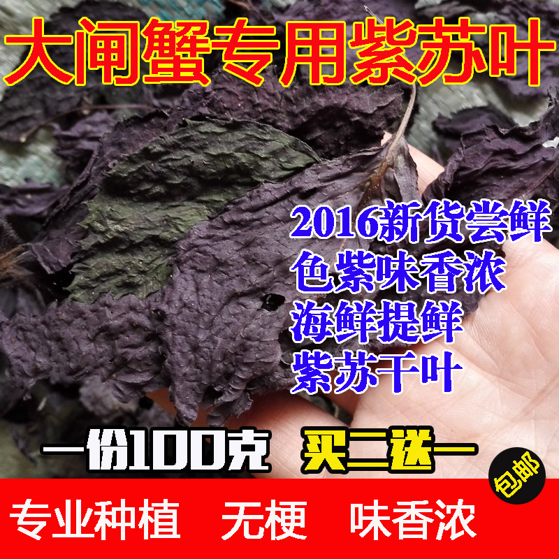 新货苏子叶农家新紫苏叶去腥烧鱼虾蟹必备香料紫苏干现摘100G包邮