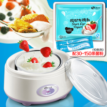 小熊全自动不锈钢 bear 酸奶机家用纳豆机特价 配30条酸奶菌粉套装