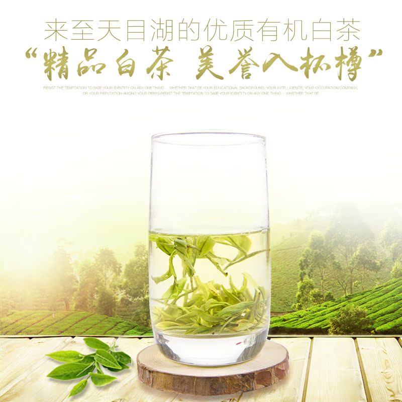 天目湖白茶特级125g溧阳伍员山茶叶手工礼盒装送礼2016年新茶春茶