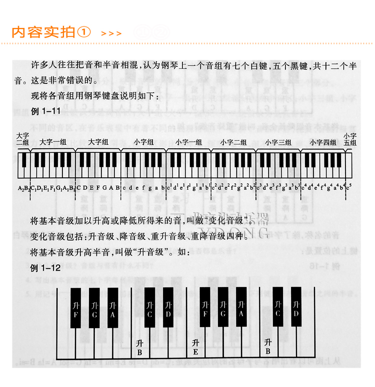 小学 音乐 教案 范文_小学舞蹈教案范文大全_高中音乐教案模板范文