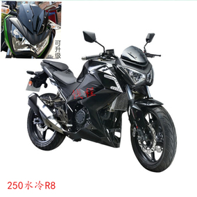 极速R8翼虎摩托车大跑车街车大排量250 350C