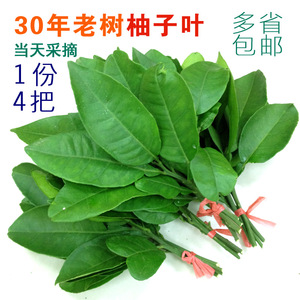 8(6.9折 包邮