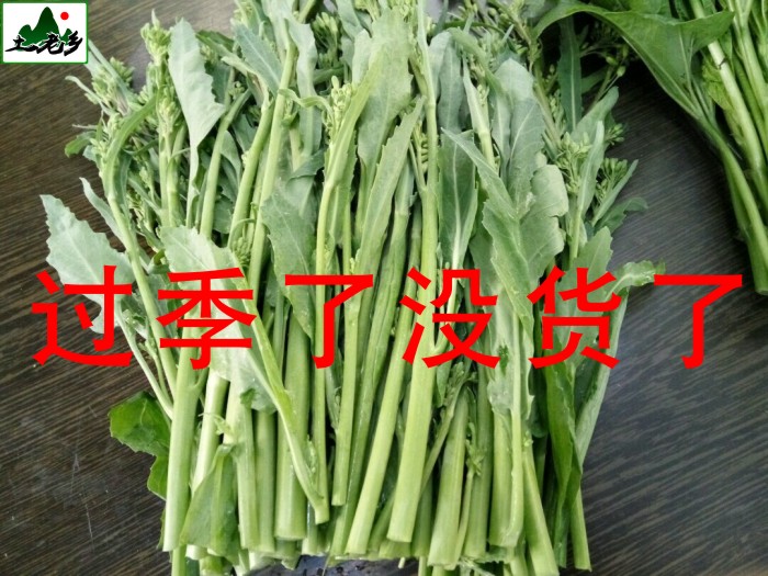 新鲜芥兰菜小芥蓝农家自种本土蔬菜时令菜青菜鲜芥菜苔菜心500g装