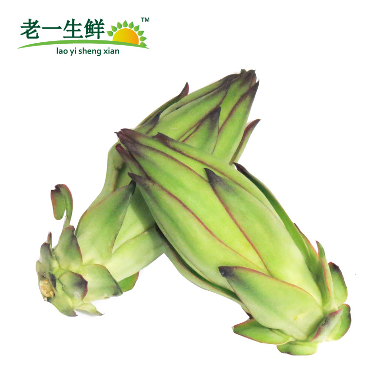 【老一生鲜】 新鲜 火龙果花 霸王花 250g