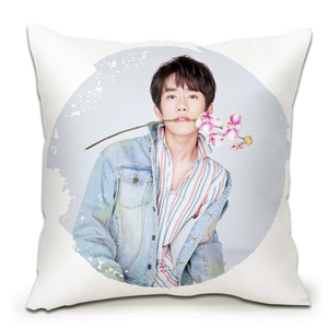 tfboysdiy自制照片抱枕