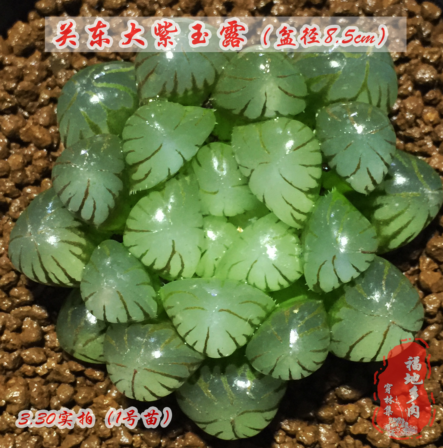 品[nike air max罗德曼]罗德曼评测 罗德曼集锦图