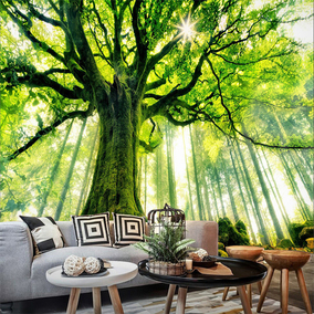 3d壁纸阳光树林森林大树早晨绿色清爽高清墙纸大型壁画无缝墙布