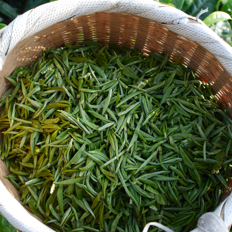 茶叶2016新茶绿茶特级湄潭翠芽名优 贵州雅香绿茶袋装茶叶