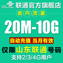 10G流量日包流量叠加油包 2G4G 山东联通流量充值省内本地600M